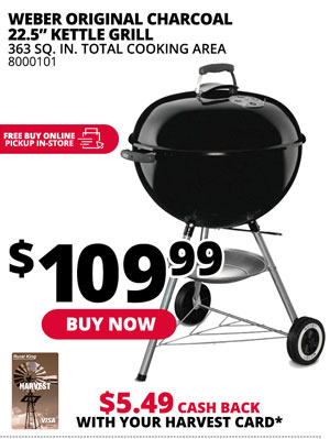Weber Kettle Grill 22.5 in.